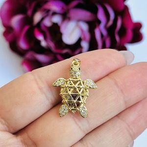 Tortuga cristales ocultos